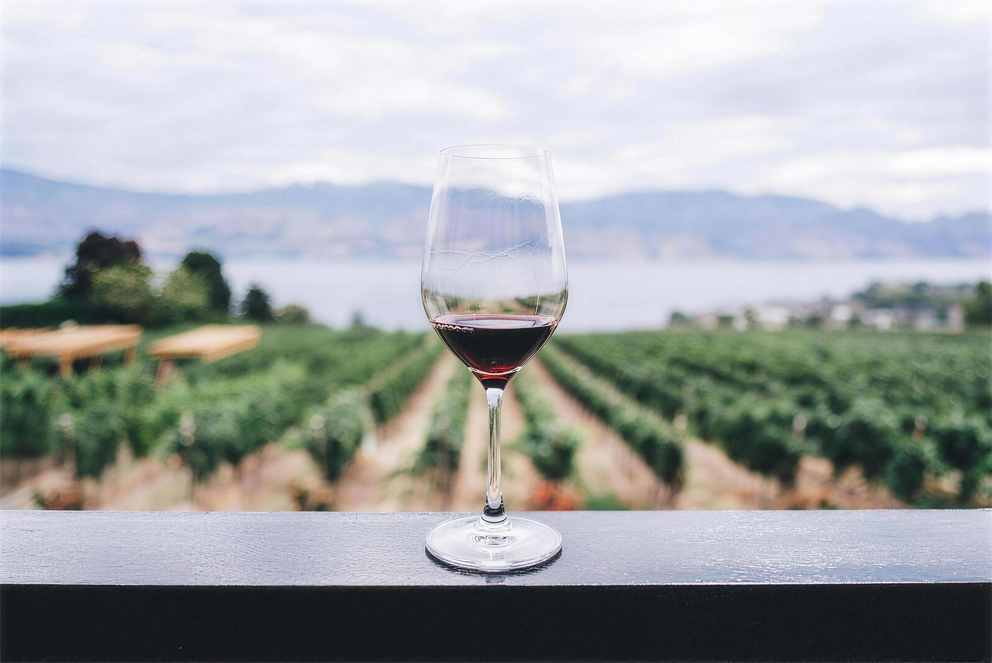 Mudgee cellar doors